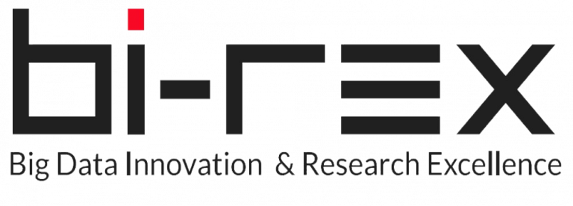 logo-birex logo-birex